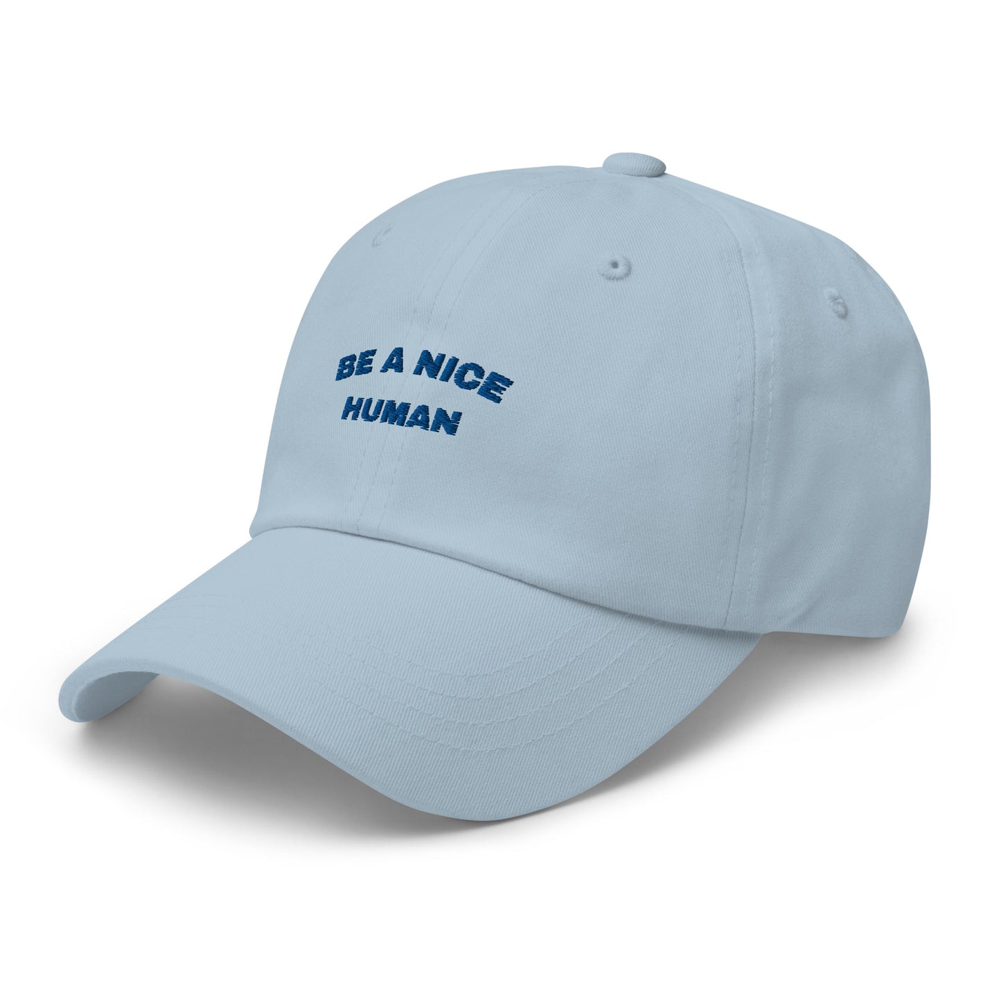 Be a Nice Human Hat | Art in Aging