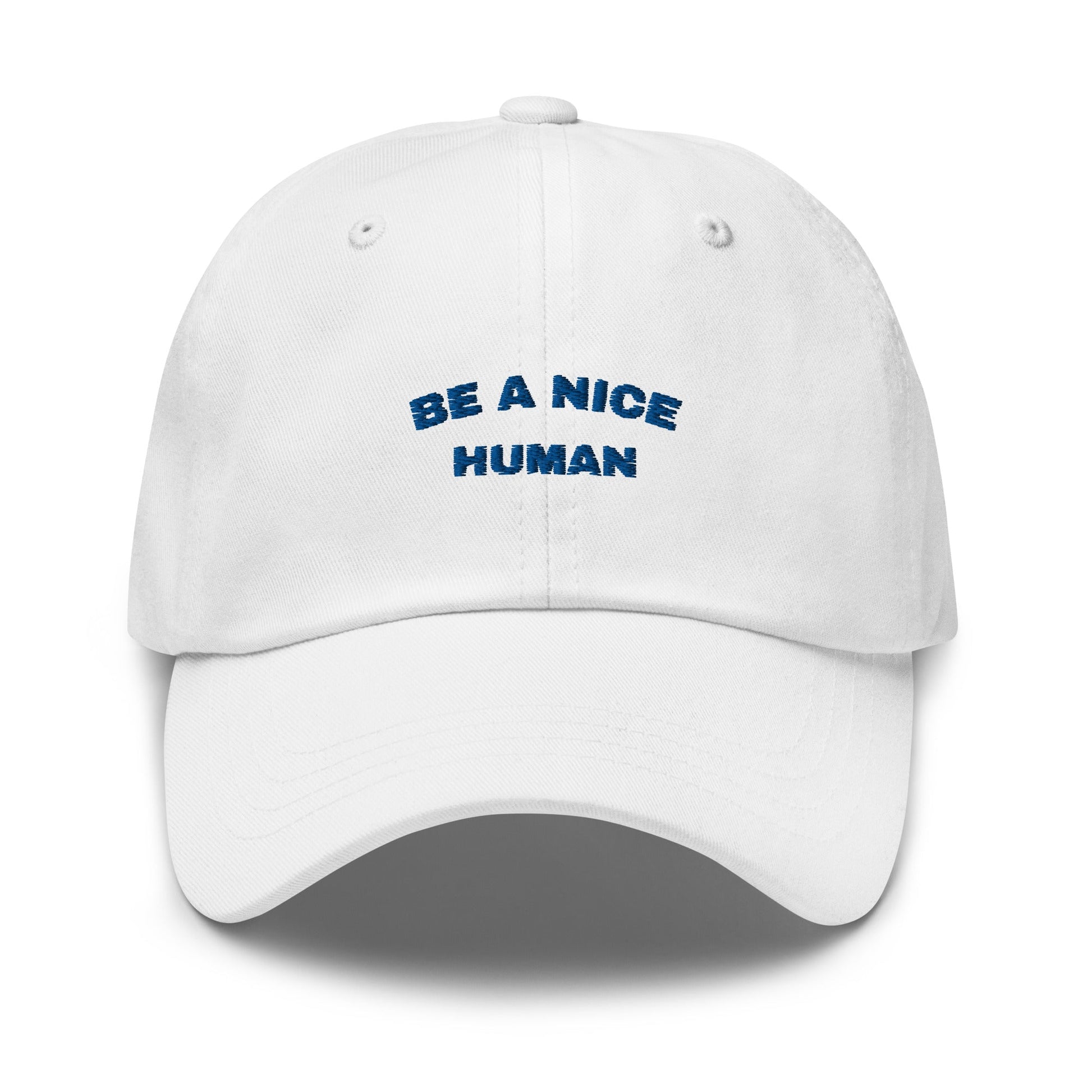 Be a Nice Human Hat | Art in Aging